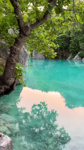 Gali Sherana - Duhok Iraq🇮🇶 #iraq #iraq🇮🇶 #irak #kurdistan #duhok #galisherana #hiddengems #blue #bluewater #forest 