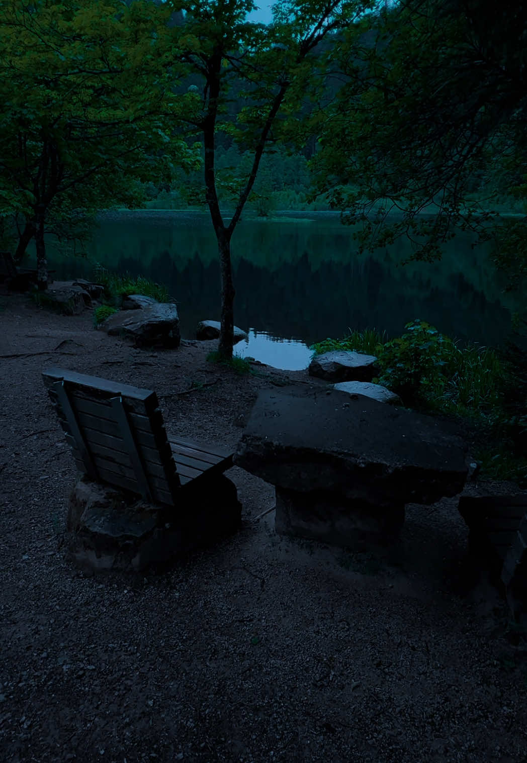 🩶🩶🩶#nature #darkaesthetic #calm #naturephotography #foryоu #aesthetic #relax 