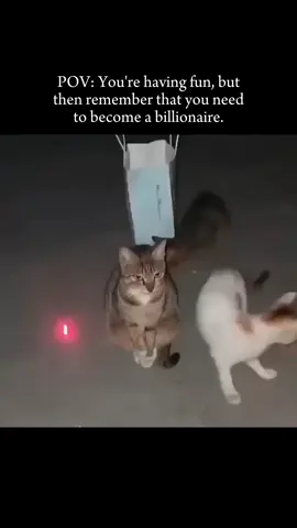 Real #entrepreneur #moneytok #onlinebusiness #dropshipping #ecommerce 