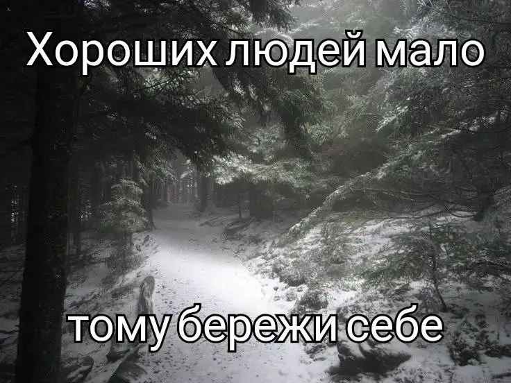 #щітпост #щітпостукраїнською #щп #путінхуйло🔴⚫ 
