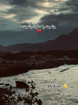 @Didine Canon 16 Officiel #fyp #algeria 