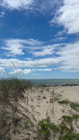 10/10 vibes 🇺🇸🌊🦞🍦 #capecodsummer #capecod #newengland 