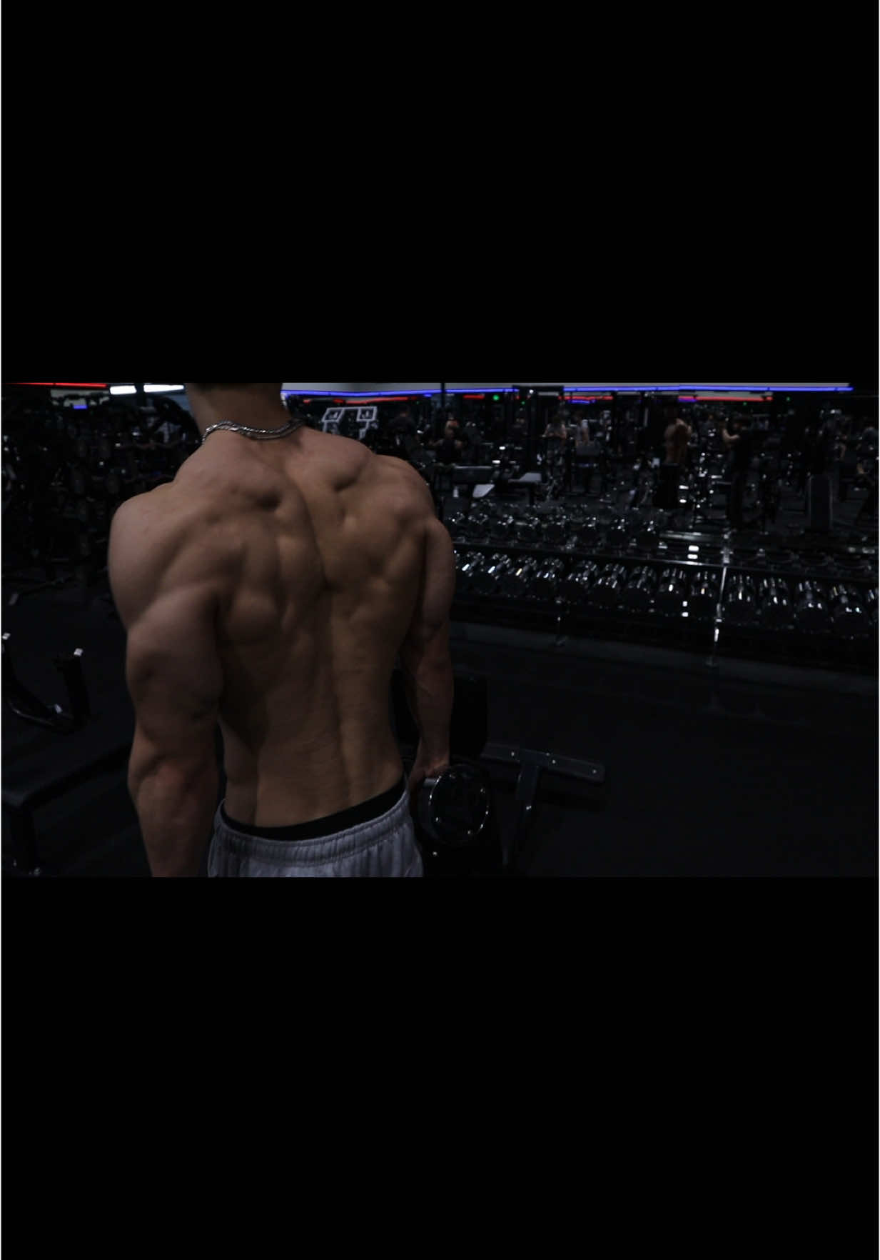 Discipline > genetics #gym #aesthetics #gymmotivation 