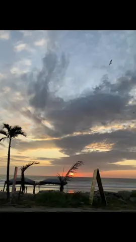 #parati #fyp #paratiiiiiiiiiiiiiiiiiiiiiiiiiiiiiii #fyppoppppppppppppppppppppppp #amor #salsaromantica #foryour 