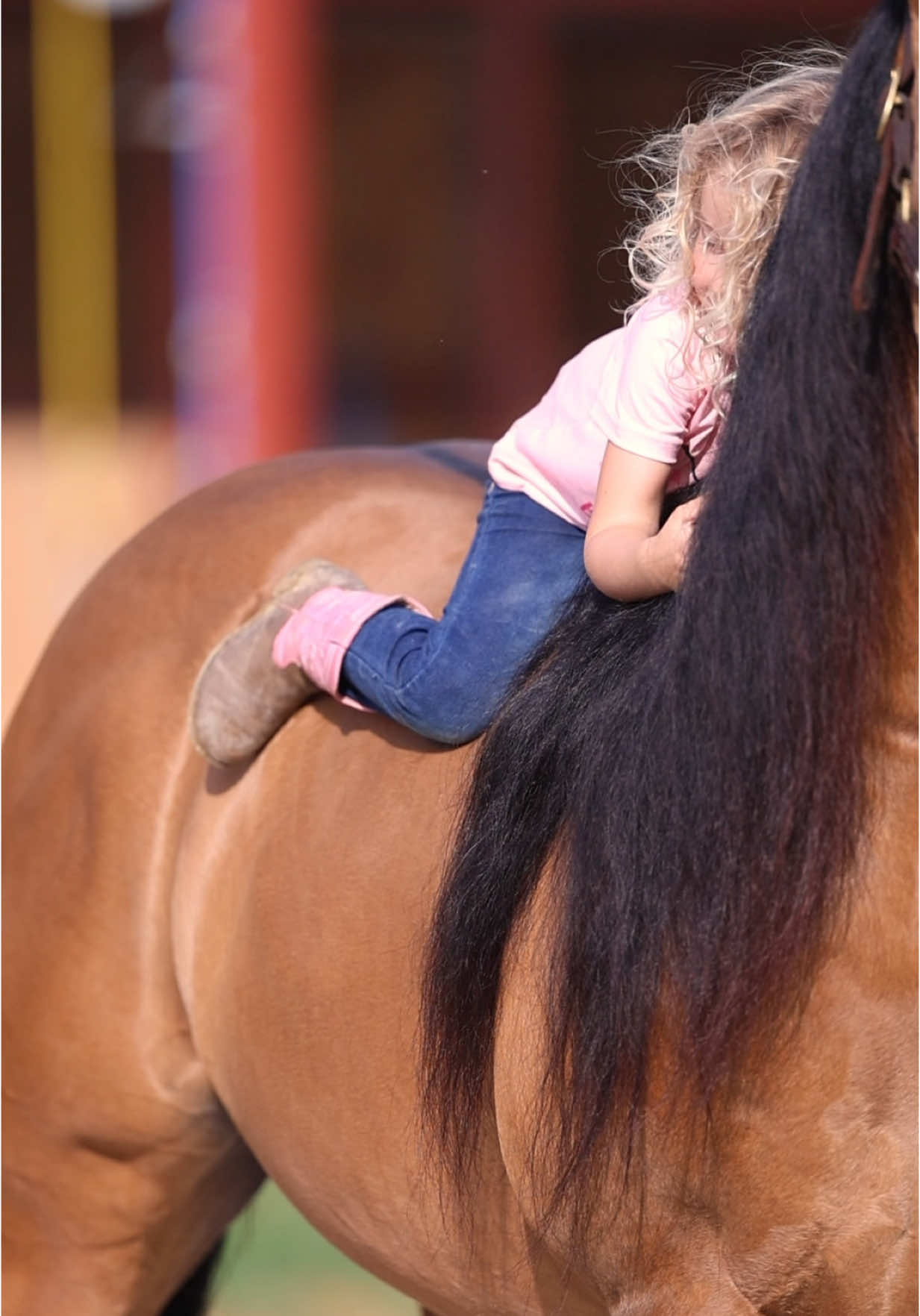 She found something she could hold onto- He has four legs and a heart of GOLD!💛 #dualequis #stallion #aqha #horsesoftiktok #legacysire @Gracey Ann 