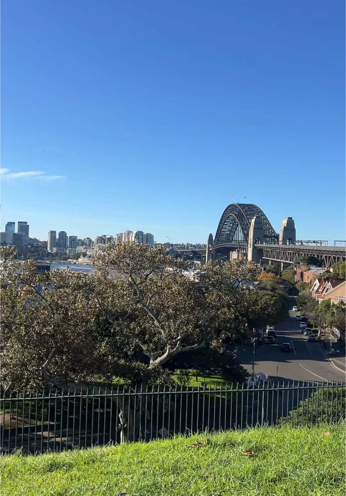 🏙️🙃