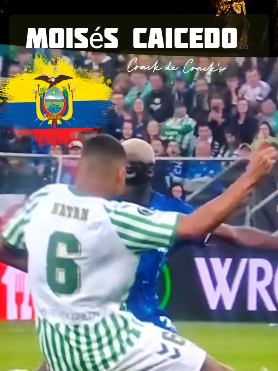 🇪🇨🇪🇨🇪🇨 Moisés Caicedo  #livehighlights  #tiktoklive 