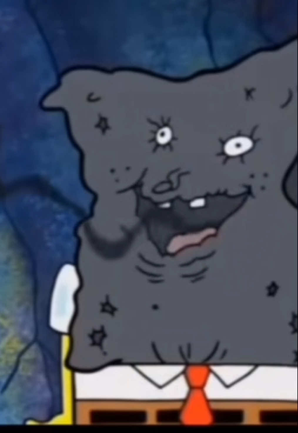 #spongebob #memestiktok #top #top5 