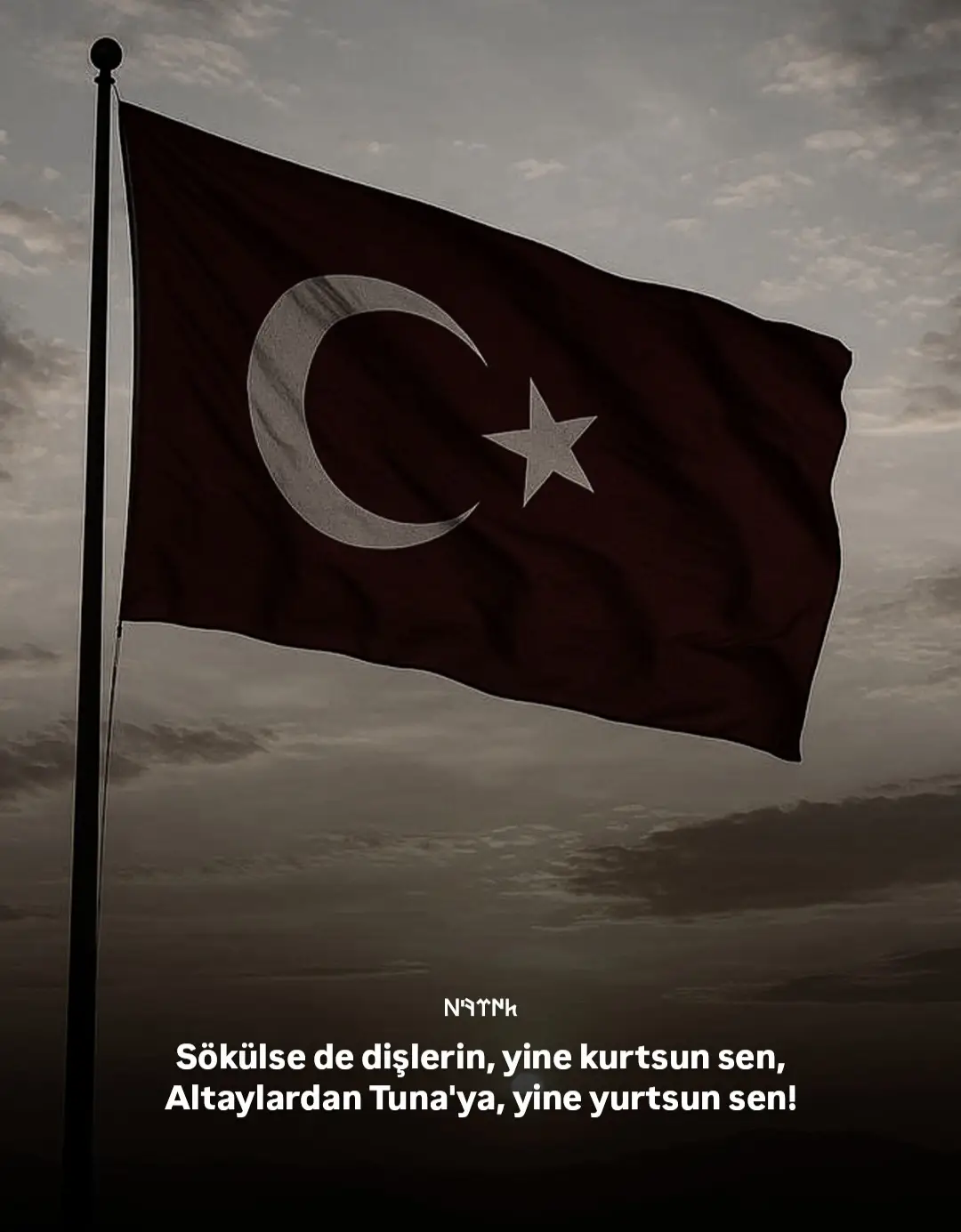 #bayrak #sancak #tc #tr #keşfet #keşfet #börü #kurt #bozkurt #keşfetbeniöneçıkar #keşfetteyizzzzzzz #keşfet #ke#keşfetteyizzz #keşfet #keşfetbeniöneçıkar 