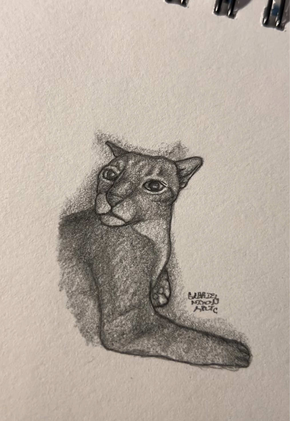 “Don’t say a word” ah cat😭     Credit- cats.lover.gram/IG    #fyp #art #sketch #drawing #cat #linkinpark #foryouuuuuuuuuuuuu 