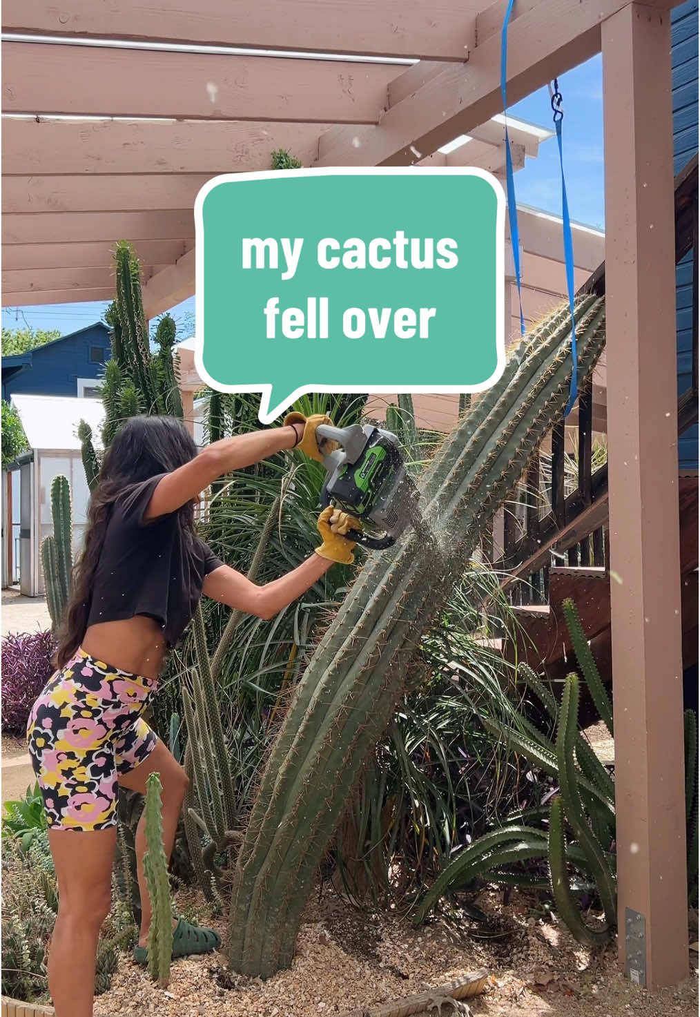 What to do when your cactus needs help! #cactus #cactuslovers 