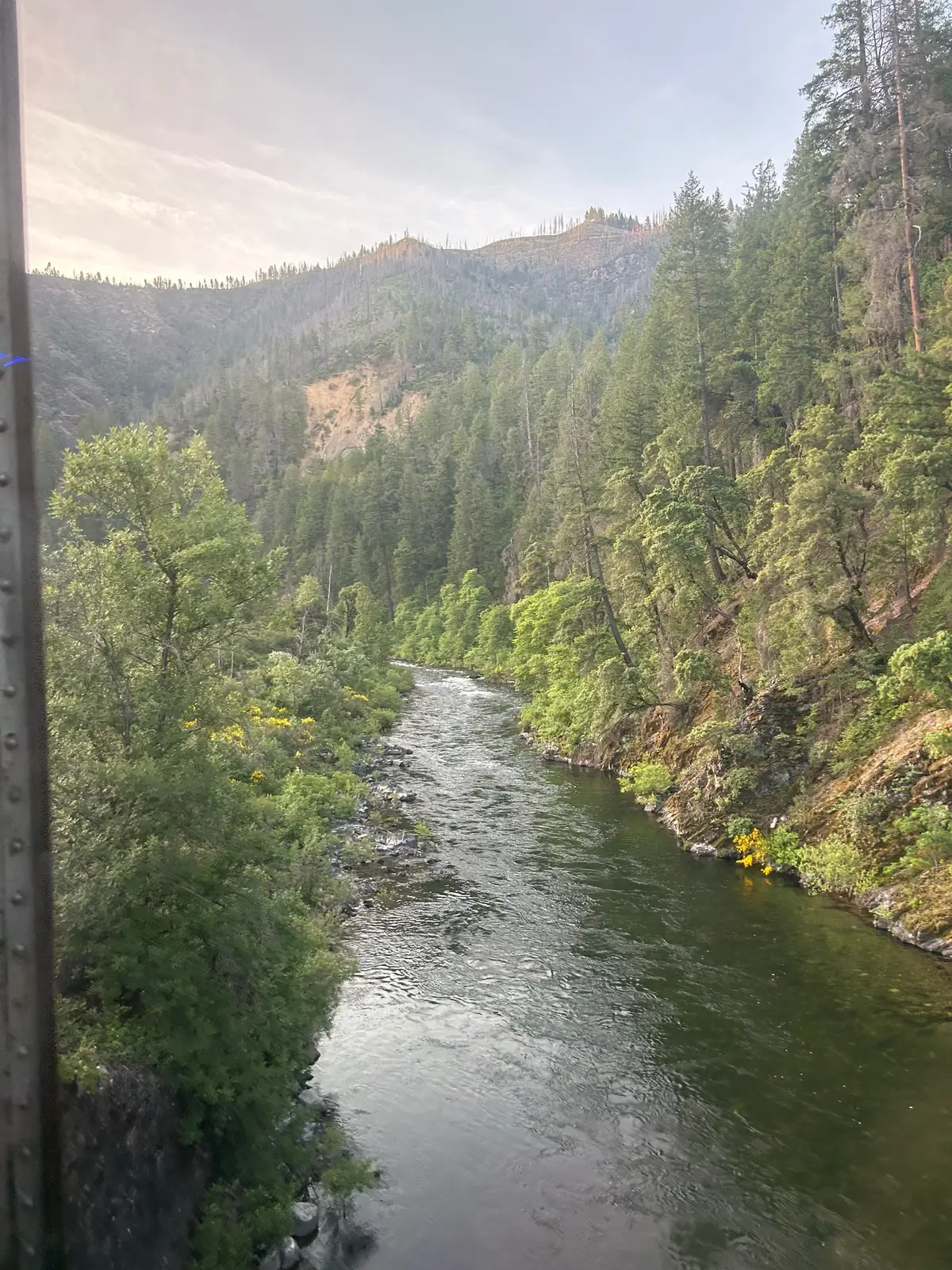 Oregon is such a beautiful place 😍 #oregon #oregoncheck #solotravel #sololeveling #foryoupage 