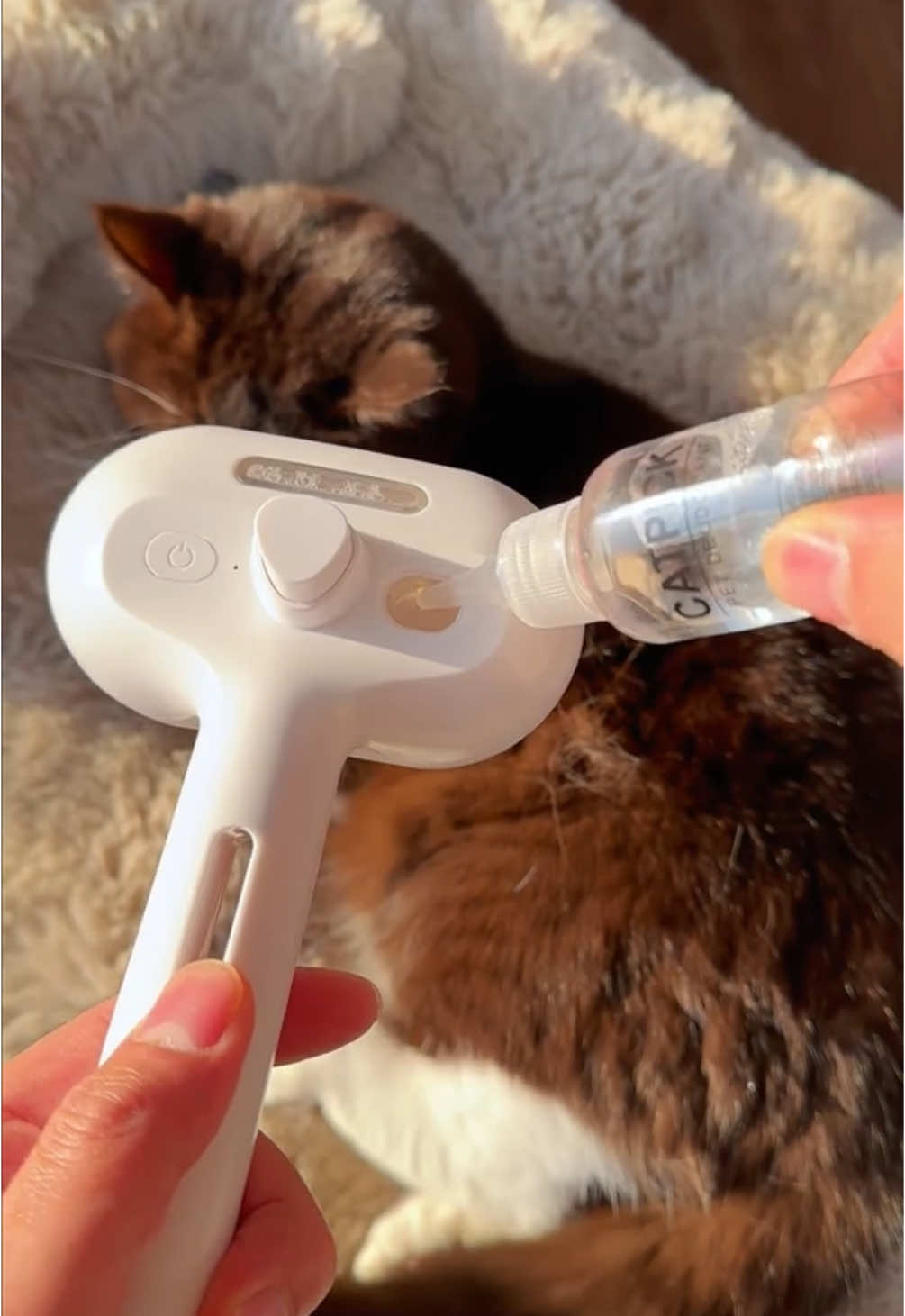 Dirty Coat? Dry skin? Dull Fur? Fix all 3 in one go. This 2 in 1 steam brush hydrates while it brushes. 🐈  SHOP NOW - Link in Bio 🐾  #espripets #PetProducts #PetTok #TikTokMadeMeBuyIt #PetGadgets #PetHacks #PetEssentials #petlovers #PetCare #PetSupplies #PetFinds #petcaresimplified #steamgrooming 
