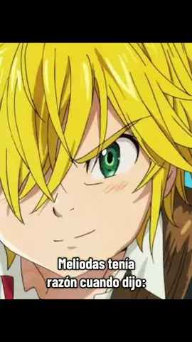 En efecto tiene razón 🧐🍷. #parati #tiktok #anime #edits #fyp #fypシ゚ #fypyou #nanatsunotaizai #meliodas #frasesdeanime #frasessabias #frasesmotivadoras #frasesepicas🧐🍷 