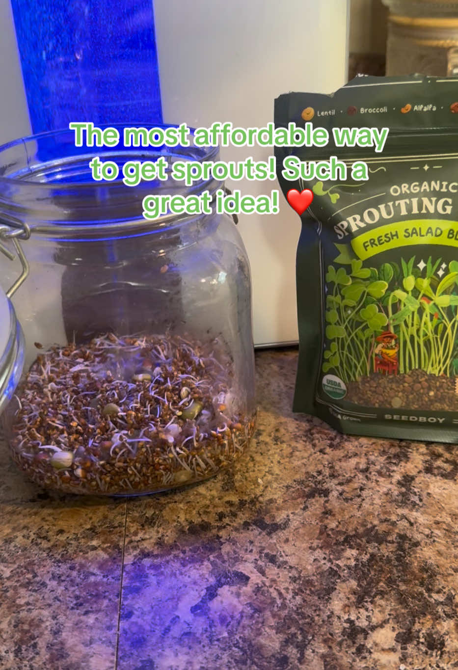 Part : I’m so excited to show you these @seedboy salad sprouts as they sprout. This is only day 2 and they are already looking great!  This started with 2 tbsp of seeds! #organicfood #foodismedicine #Foodie #sprouts #healthy #healthtok #seedboy #growingfoodfromseeds #freshfood #chronicallykarissa #chronicpain ##chronicillness 