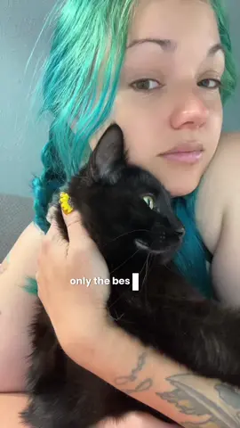 #cats #spoiledcat #musttry #catproducts #cattreats #tiktokshopcreatorpicks #dealsforyoudays #catsoftiktok #cat #catoftiktok #furbabies 