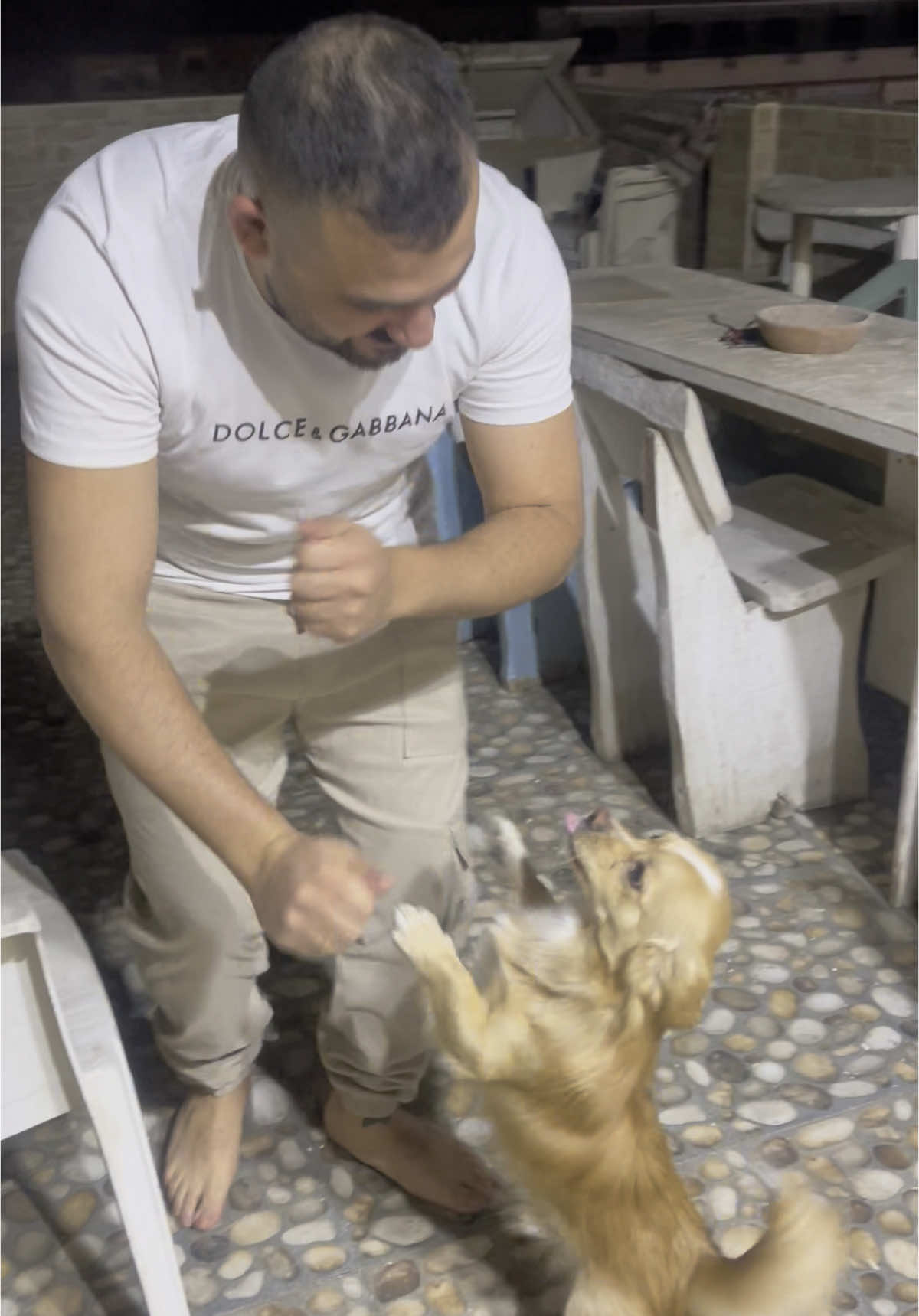 #2025 #😂😂😂 #dog #dance #kajo 