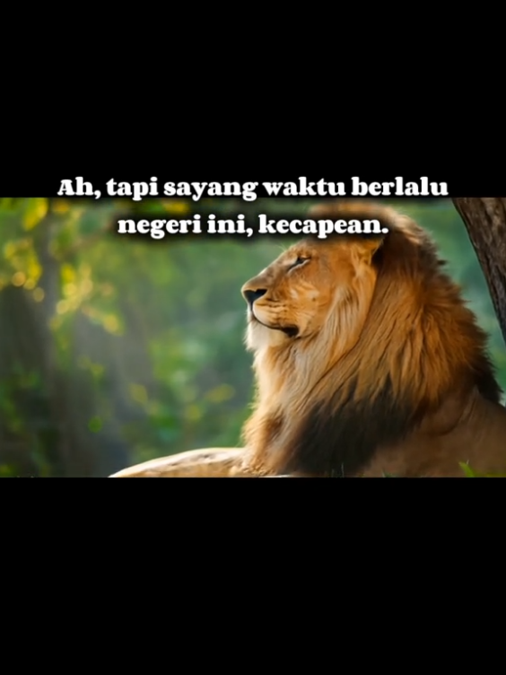 Puisi NEGERI SEHABIS BERLARI Meski pelan namun pasti melangkah maju merubah dari setetes merenovasi dari yang tak beres Satu per satu ditata dinas per dinas dikelola Sembari sikut tak lupa pula mendobrak Kanan kiri bergelinjang lawan main menuduh palsu disertai sumpah serapah Tapi rakyat menyaksikan pelan-pelan mulai jalan terkadang juga berlari Tetangga hampir terkejar dunia pun mulai sejajar Ah, tapi sayang waktu berlalu negeri ini, kecapean. #menyala #foryou #puisi #foryoupage 