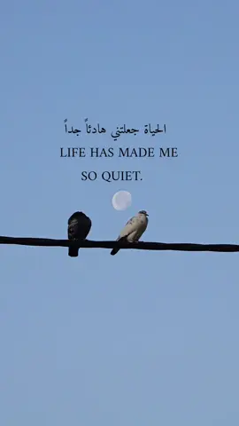 الحياة جعلتني هادئاً جداً#اكسبلور #تحفيز #اكسبلور_تيك_توك #تحفيز_الذات #تصويري 