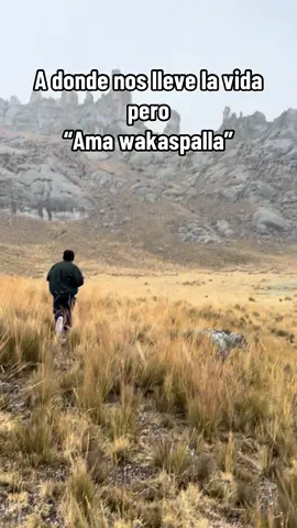#adondelavidatellevesefeliz   #amawakashpalla #nieve #huayllay_pasco_peru🇵🇪  #terxtrañohermano 
