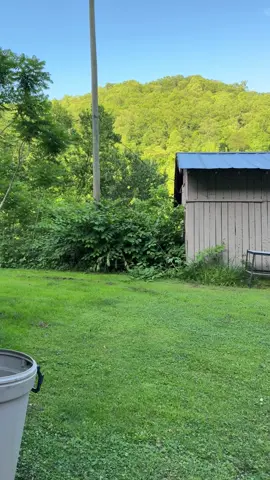 No signs needed to follow my Appalachian trail. I leave big prints…. #aceimages #appalachian #appalachianmountains #photographer #easternkentucky #coalcountry 