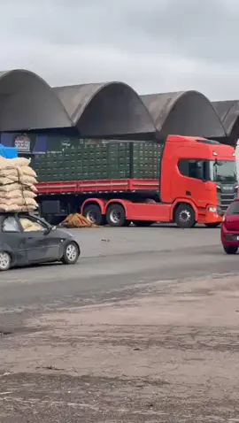 Ceasa Curitiba 
