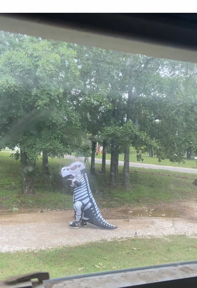 Summer break Shananigans ….. clearly need to spring clean my windows 😅😬🦖 #fyp #foryoupage #MomsofTikTok #relateable #slowliving #dayinmylife #momtok #funny #summertime #summervibes #silly sorry in advance to my neighbors …. Silly guy