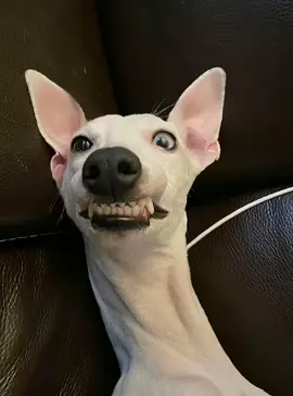 Hài :))