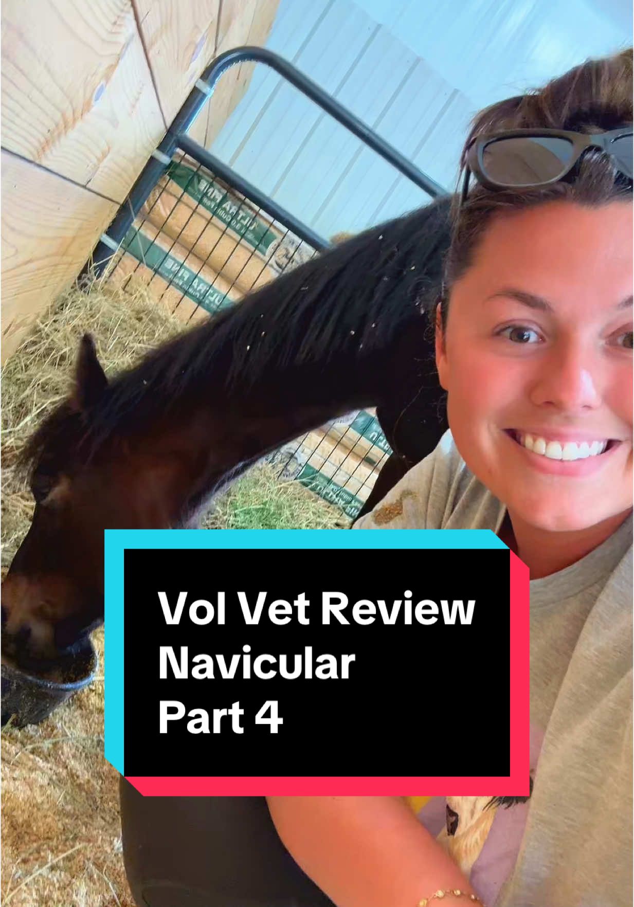 🧡Vol Vet Review: Navicular Degeneration Part 4🐴🧡 #navicular #naviculardisease #babyseven 