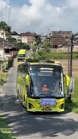 Tisal group Tsubasa @SutanAkbar_ @captain_tsubasa005 #tisalgroup #tisaltransgroup #tisalgrouptsubasa 