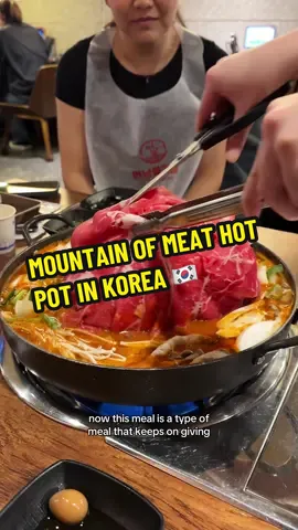 literal MOUNTAIN of meat hot pot in Korea! #hotpot #meat #korea #koreanfood #yeonnammulgalbi 