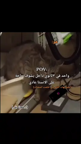 #fyp #foryou #تالته_ثانوي #ثانوية_عامة #ميمز  #الشعب_الصيني_ماله_حل😂😂 #اكسبلور #ترند 