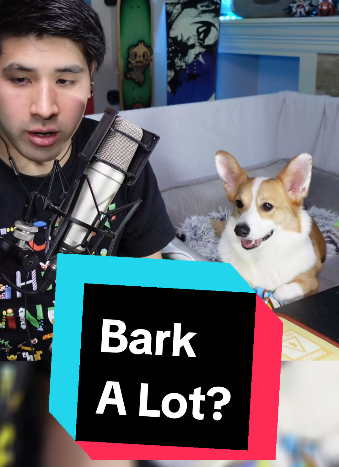 he never misses a chance to prove me wrong... #corgilife #corgination #corgilove #corgis #corgisoftiktok #smallstreamer #streamersoftiktok #twitchtok 
