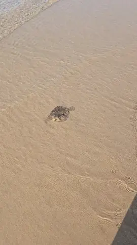 Not this time babe 🎮 😂😂 #GamerFamily #SpawnPoint 