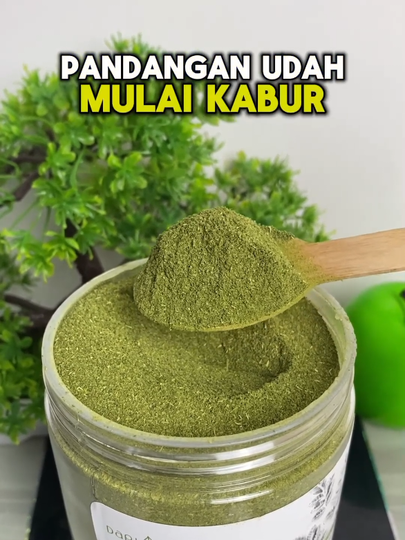 Yuk order mumpung lagi ada harga promo untuk daun kelornya 😍 #kelor #daunkelor #herbal #moringa #minumanherbal 