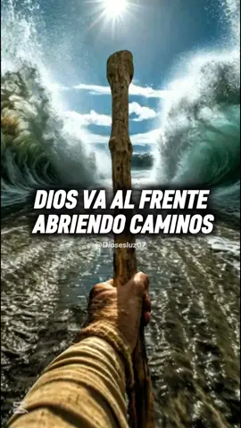 ALABA A DIOS.🔥🙌🏻🤍 . . . #diosesluz07 #alabanzas_cristianas #musicacristiana #adoracioncristiana #alabaadios #alabanzacristiana 