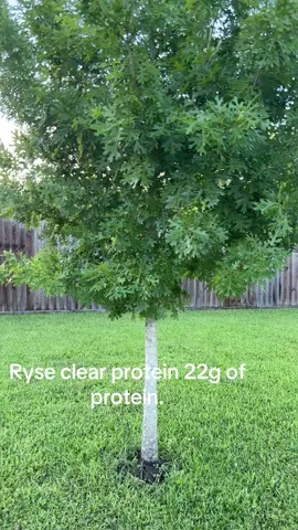 #ryseclearprotein #ryse #weightlossjouney #bariatriccommunity #bariatricsurgery #loveyourself #believeinyourself❤️🦋❤️ 