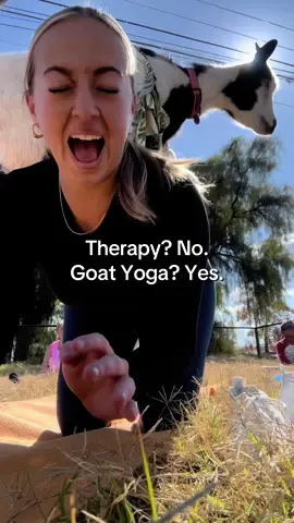 instant serotonin boost 🐐 @GoatYoga @Alana #goatyoga #arizona 