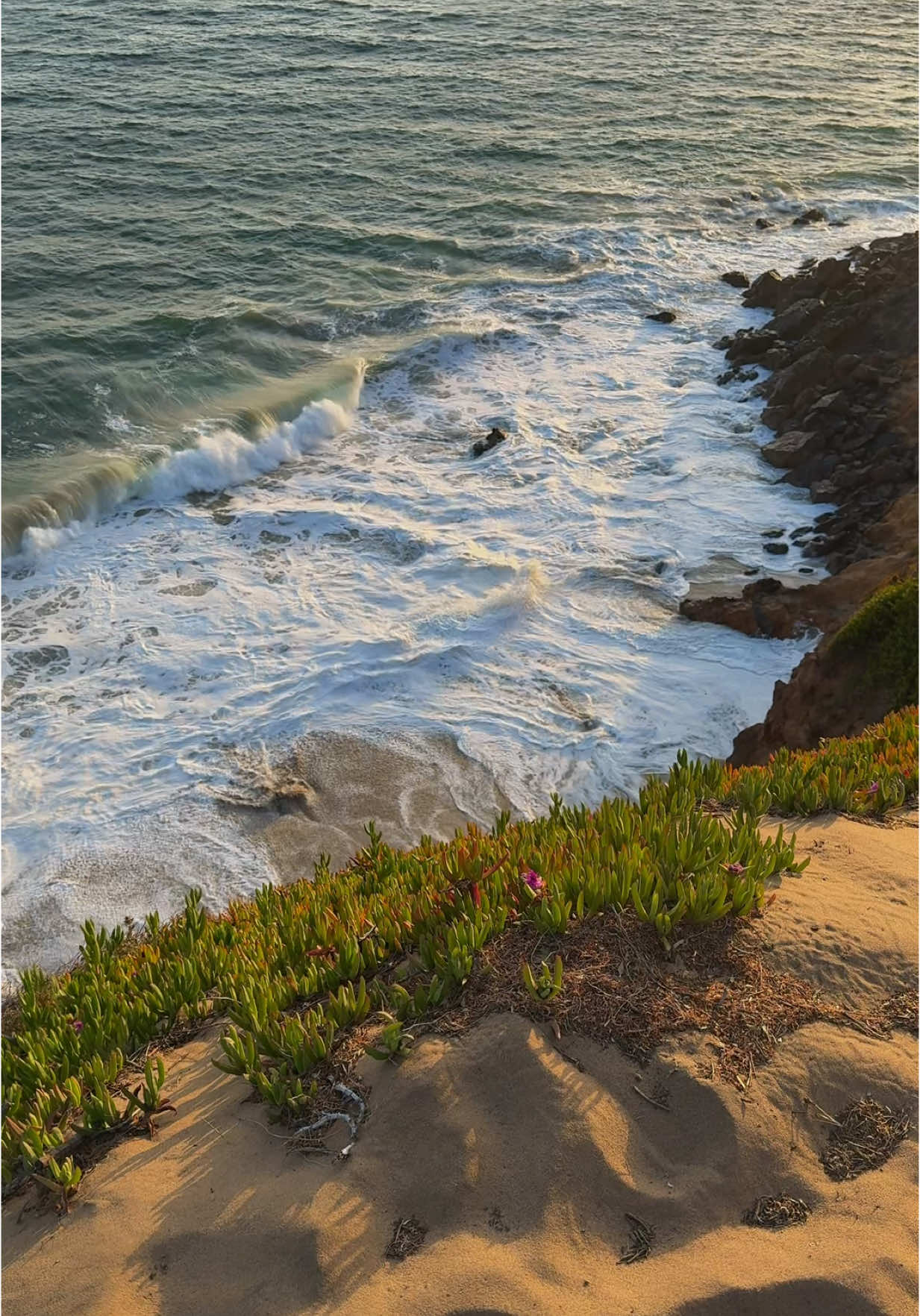 #beach #nature #ocean #scenery #beachvibes #foryoupage #aesthetic #sunset #sunsets 
