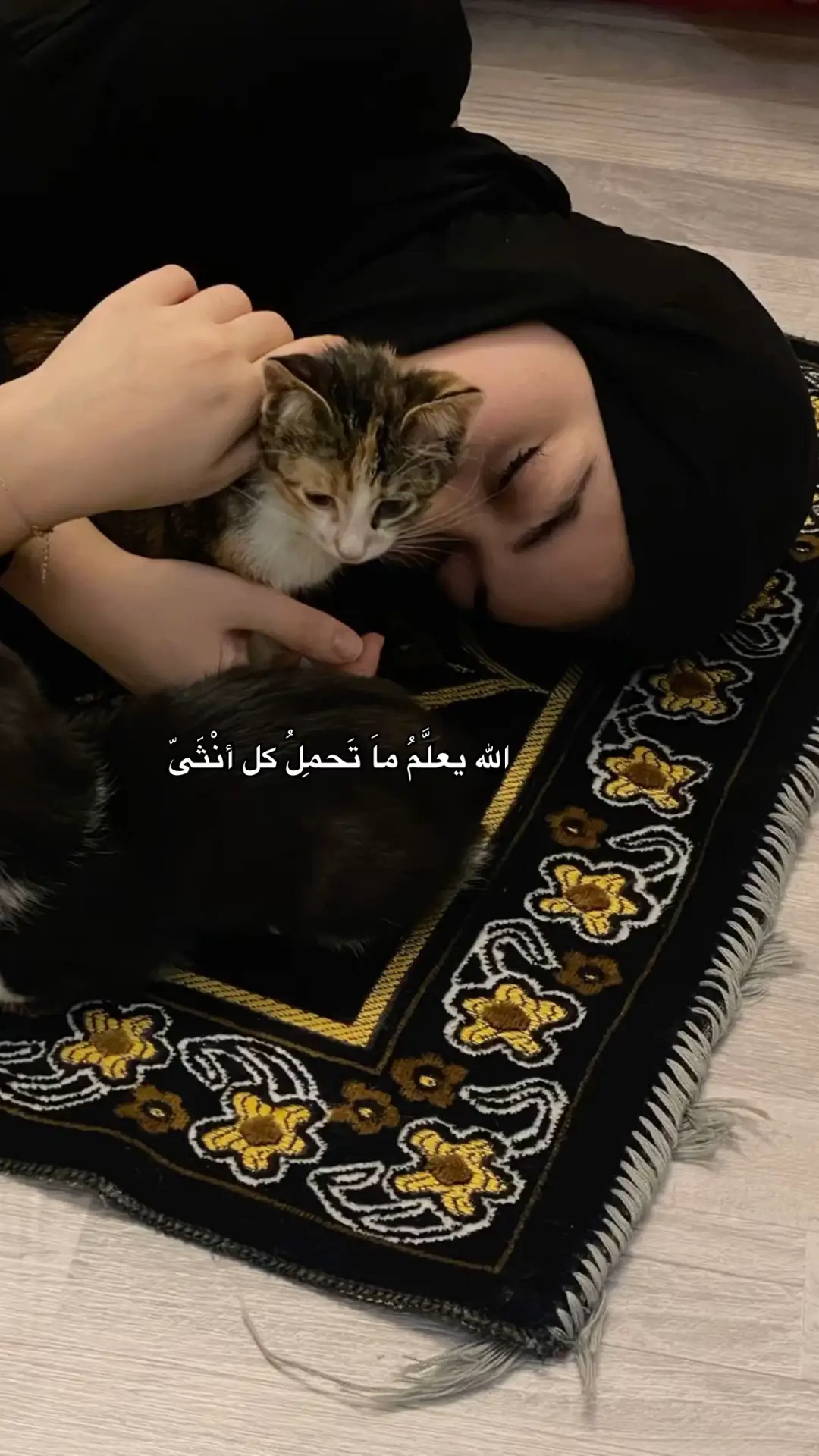 #اللهم_صلي_على_نبينا_محمد #اللهم_لك_الحمد_ولك_الشكر #اللهم_صل_وسلم_على_نبينا_محمد #اللهم_انك_عفو_تحب_العفو_فاعف_عنا #ربي_لاتذرني_فردا_وانت_خير_الوارثين #جبر_الخواطر #الحمدلله_دائماً_وابداً 