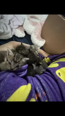 Zoom out ❤️#CapCut #teen #microinfluencer #foru #foryoupage #viral #friends #makemefamous #teenager #trending #tiktok #girlsgirl #boyfriend 