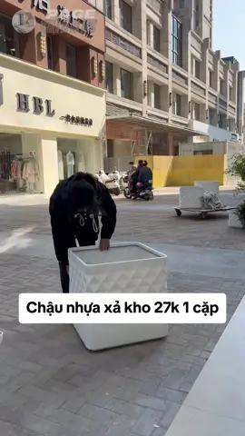 Chậu nhựa trồng cây