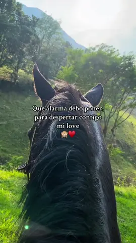 ♥️ #caballos #amor #indirectas #metas #paratii #miamor #viralvideos #viral #mexico🇲🇽 