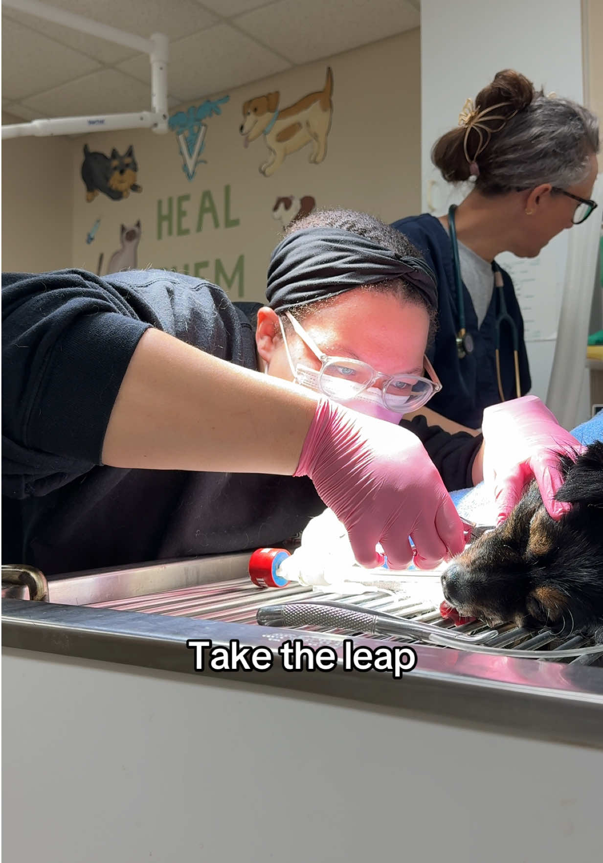 #fyp #vettech #vettechtok #growth #kenneltech #vetmed 