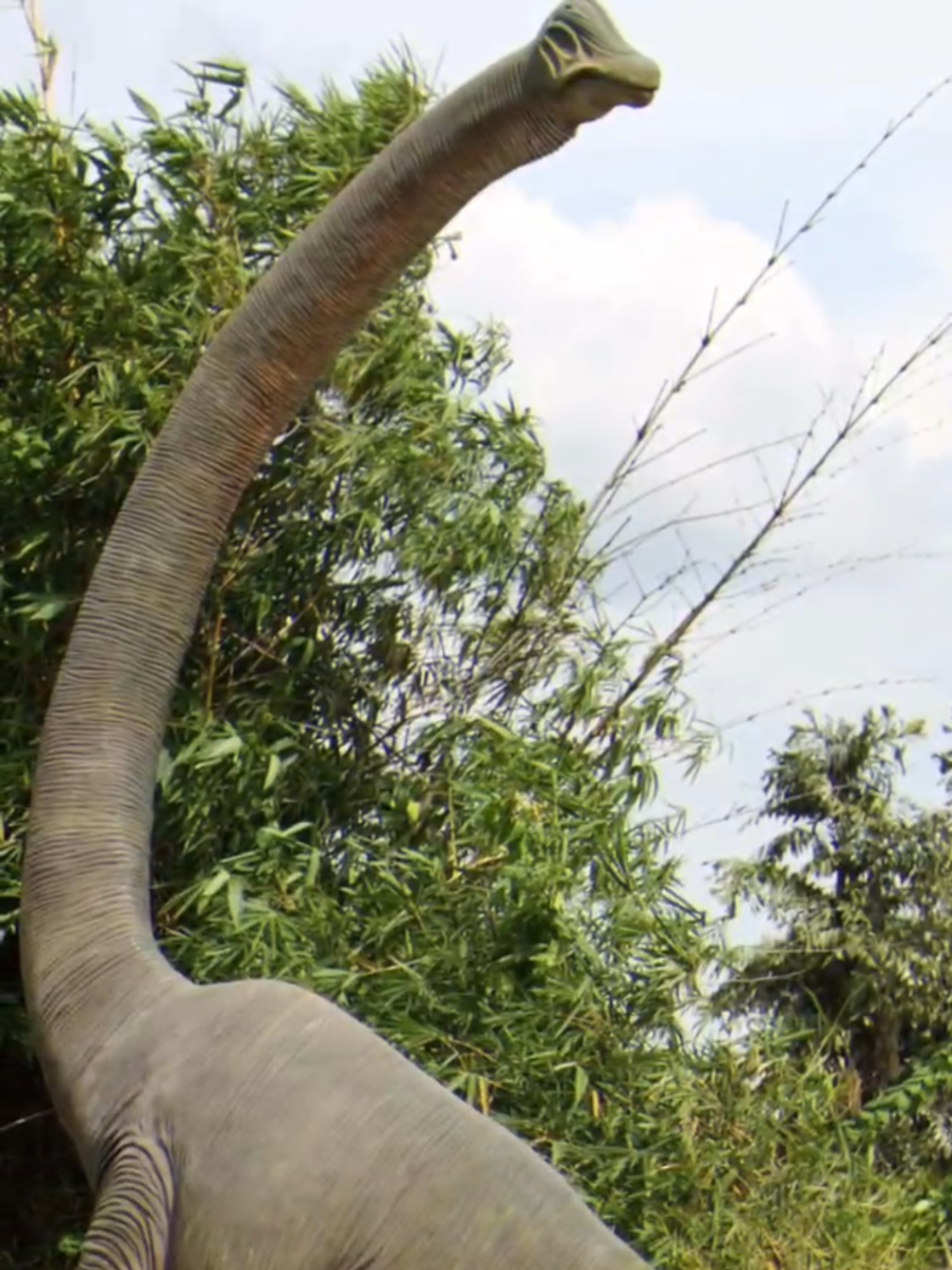 El dino lindo de JW #humor #curiosidades #dinosaurios #brachiosaurus 
