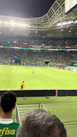 The last dance… ❤️ #palmeiras #estevao #manchaverde #viral 