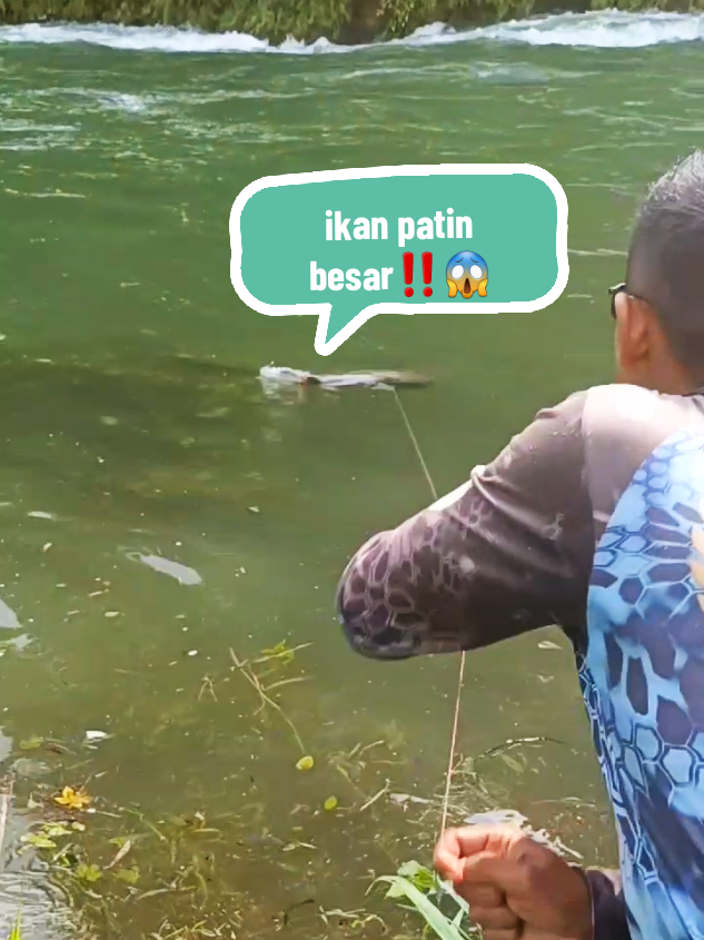 Strike ikan patin di sungai arus deras  #fishing #paserikan #trending 