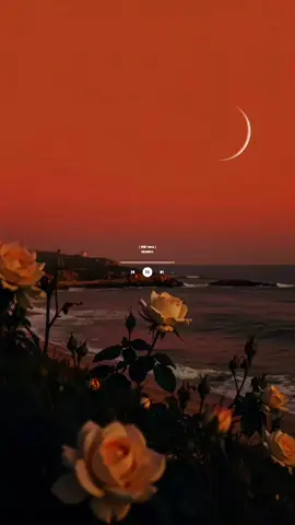 Se feliz y vuela libre #como estrellas #la young #music #spotify #lyrics 