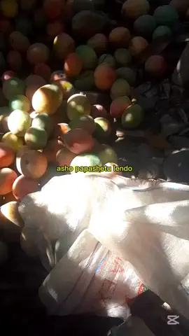 quiru pripararli so sopa cashki cun so queseto #paratii #viralll #humorperuano😂😂😂 #enperunoteaburres🇵🇪😂😅 #fyp #inventejarjachainvente #chacra #freyooalalau 