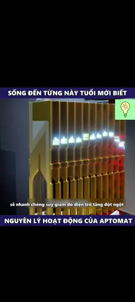 Cách hoạt động của cầu chì điện #kienthuc #xuhuong #cauchidien 